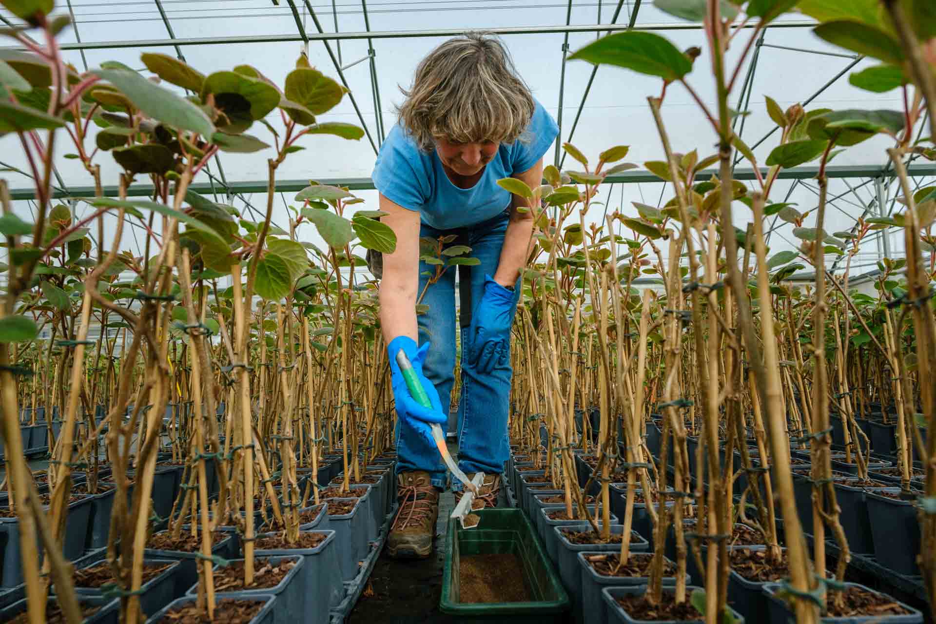 Reportage savoir-faire Jardiland Cerdys