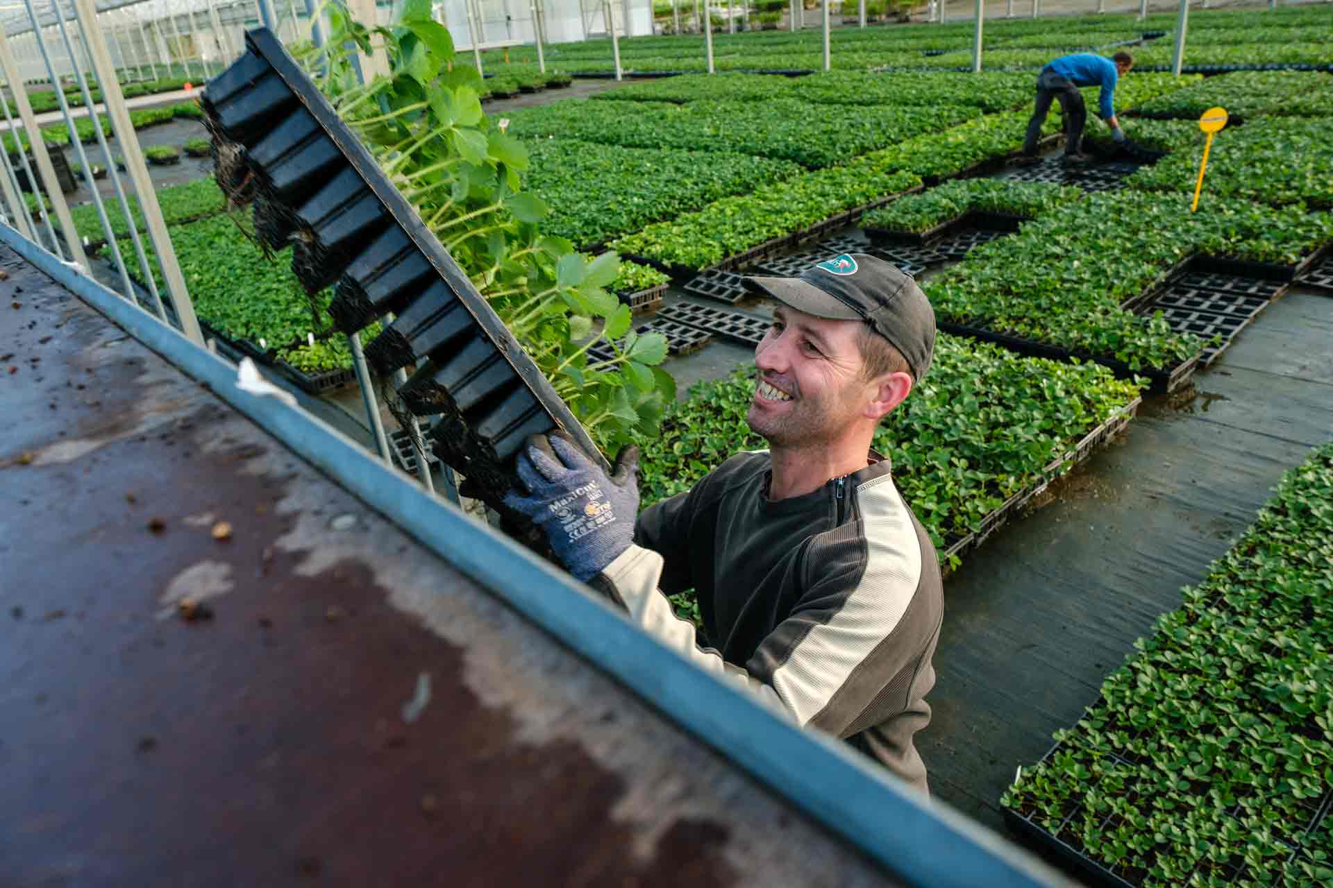 Reportage savoir-faire Jardiland Cerdys