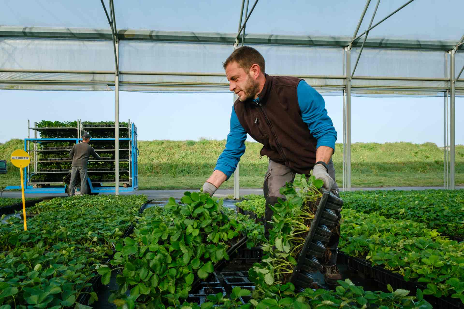 Reportage savoir-faire Jardiland Cerdys