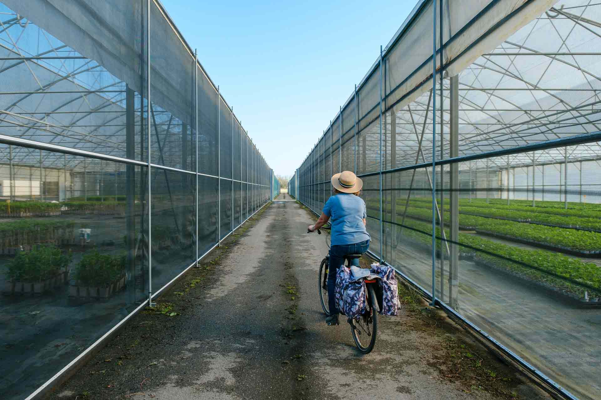 Reportage savoir-faire Jardiland Cerdys