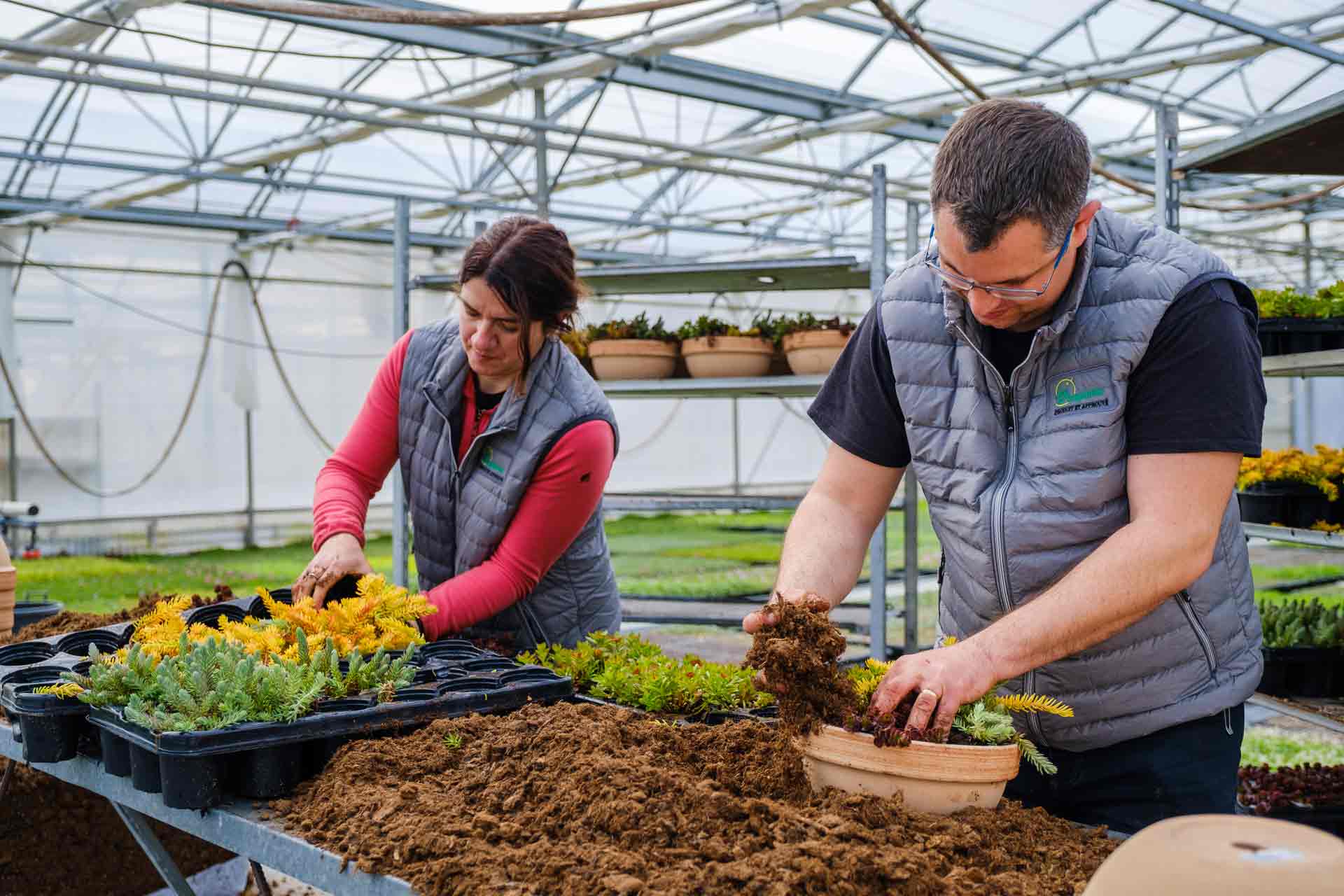 Reportage savoir-faire Jardiland Vivaplante