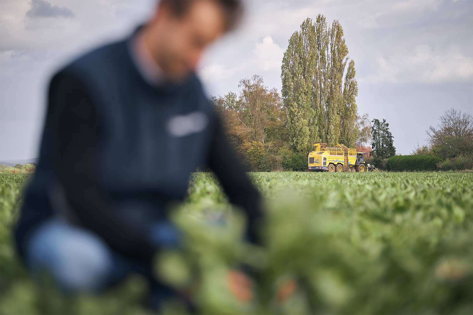 visages du sucre reportage métiers