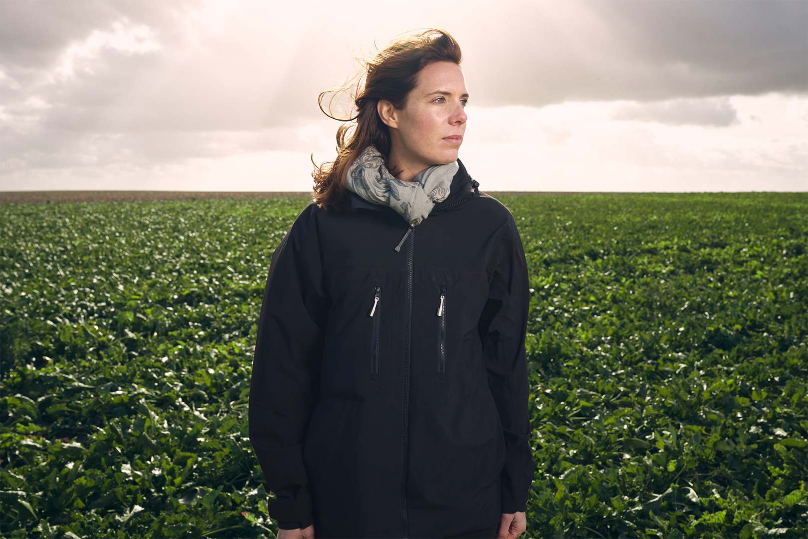 visages du sucre reportage métiers