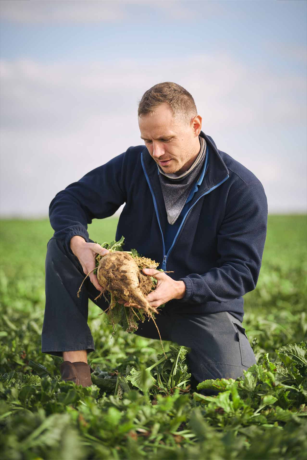 visages du sucre reportage métiers