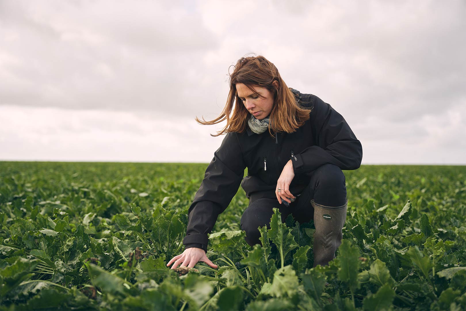 visages du sucre reportage métiers