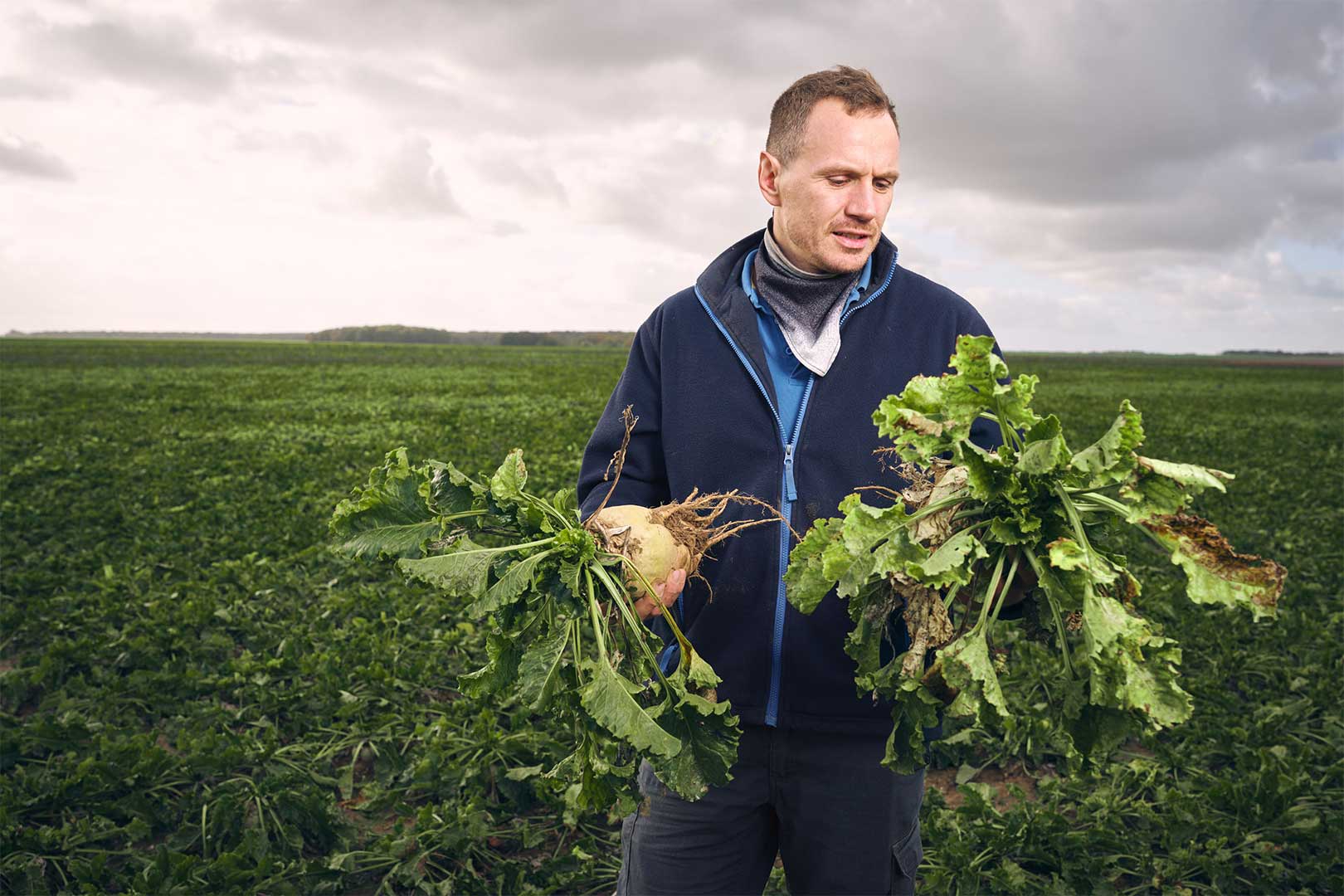 visages du sucre reportage métiers