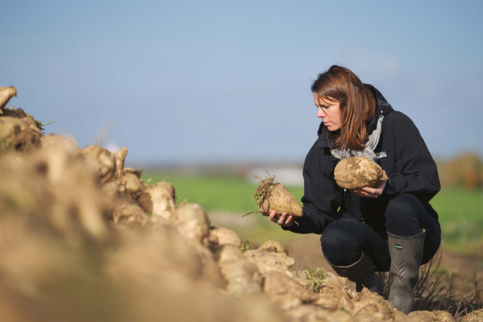 visages du sucre reportage métiers