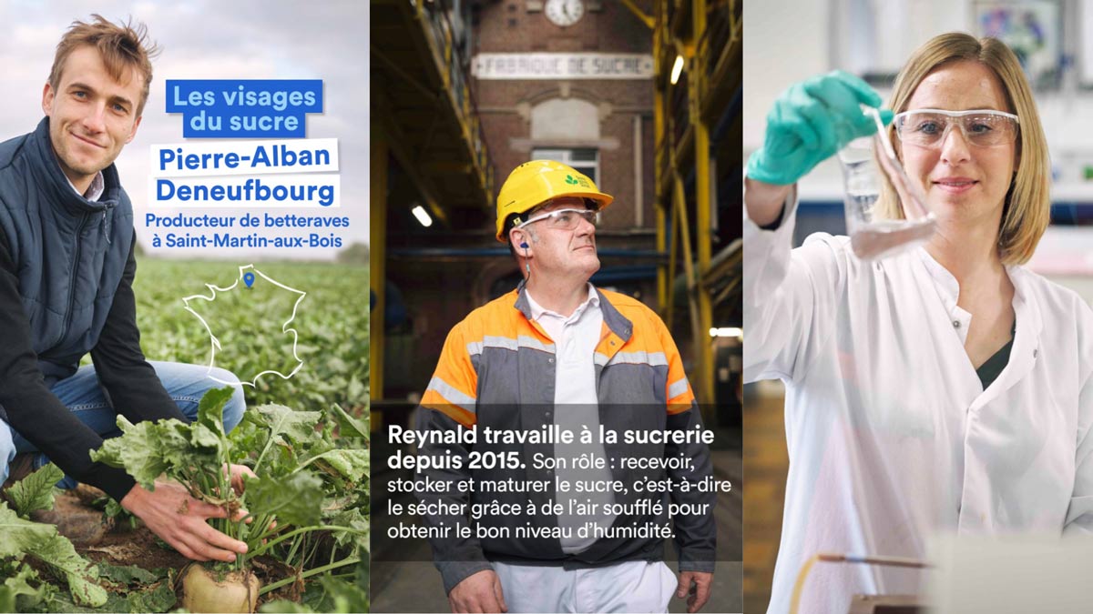 agence photo paris reportage métiers cultures sucre